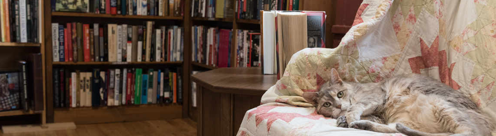 Bookshop interior picture 2